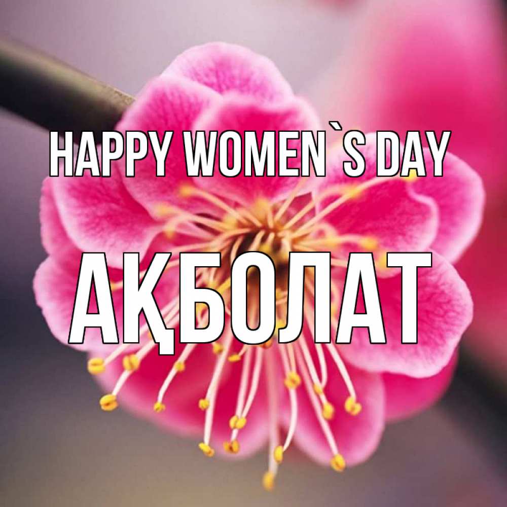 Greetings card с именем, Ақболат happy women`s day цветы Greetings with text for free download 